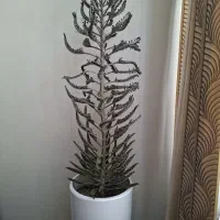 فروش گل اشک تزئینی خونه
