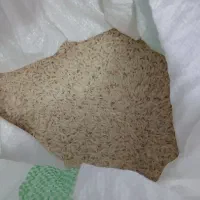 برنج طارم هاشمی کشت دوم