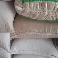 گندم دیمی