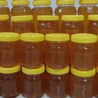 عسل درجه یک