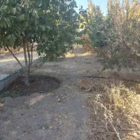 زمین-باغ-شهری-اجاره-ای