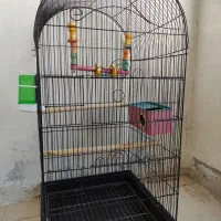 قفس پرنده