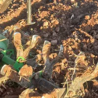 شخم زدن زمین زعفران با دستگاه ۷/۵سبک با تیغه مخصوص|خدمات باغبانی و درختکاری|نیشابور, فضل|دیوار