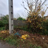 250متر-زمین-تمام-مسکونی-فروش-فوری