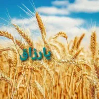 فروش وام مهربانی