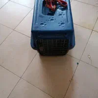 باکس  و قلاده سگ عدد از هر کدام