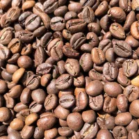 پخش قهوه و پودریجات