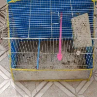 قفس همراه با کاور ولانه وچوب بند وکفی