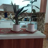 گلدون