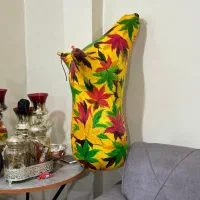 نی انبان ...|سازهای بادی|اهواز, بهارستان|دیوار