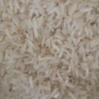 برنج طارم محلی گیلان