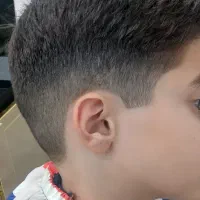 نیازمند مدل