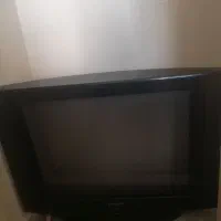 تلوزیون