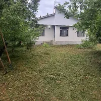 باغ-ویلا-هزارمتر-مربع-سند-تک-برگ