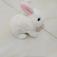 ماشین وخرگوش باطری خور قیمت تکی۲۲۰|اسباببازی بچه|گرگان, |دیوار