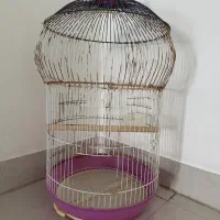 قفس بزرگ