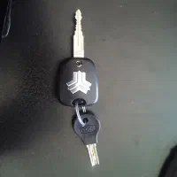 درخیابان ستارخان پیدا شده