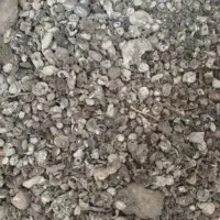 کودکبوتر