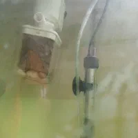 آکواریوم همراه ماهی|ماهی|تهران, حکیمیه|دیوار