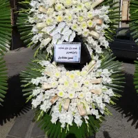 گل گیاه|گل و گیاه طبیعی|تهران, حر|دیوار