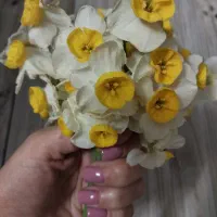 آموزش طراحی نقاشی از ابتدایی تا تخصصی