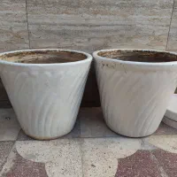 گلدان