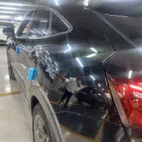 دیگنتی پرستیژ مشکی تو مارون در جه یک