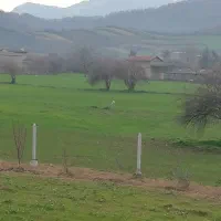 زمین1145متر باغ پرتقال روستای بالاجاده