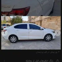 فروش شاهین ًgساندروف دار