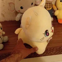 ۵ عدد عروسک خارجی پارچه نانو|اسباب‌‌بازی|سنندج, |دیوار