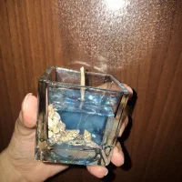 شمع دریایی صدفی