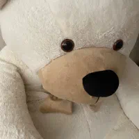 خرس بزرگ|اسباب‌بازی بچه|خوی, |دیوار