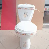 یک عدد توالت فرنگی طرح دار