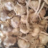 سیر خشک همدان|خوردنی و آشامیدنی|کرج, محمود آباد|دیوار
