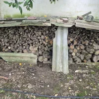 هیزم مرکبات باکیفیت عالی|کوهنوردی و کمپینگ|آمل, |دیوار