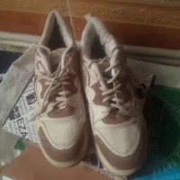 کفش|کیف، کفش، کمربند|مشهد, طبرسی شمالی|دیوار