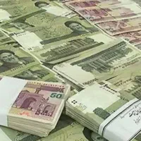 پرداخت سرمایه با چک صیادی و بازنشستگان رفا