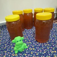 عسل کنار درجه یک