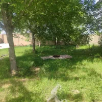 پرس یونجه