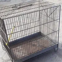 قفس سهره