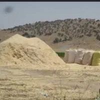 خرید کاه به نرخ روز