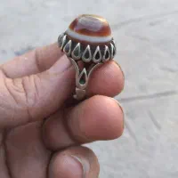 انگشتر باباغوری سه پوست|کلکسیون اشیاء عتیقه|جیرفت, |دیوار