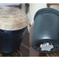 بینگوبانگو قابل کوک