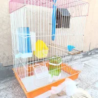 قفس پرنده بزرگ همراه با کلی لوازم.کاملا نو|لوازم جانبی حیوانات|قرچک, زیبا شهر|دیوار