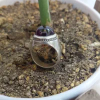 انگشتر|بدلیجات|کرمانشاه, |دیوار