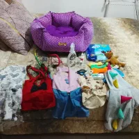 وسایل سگ