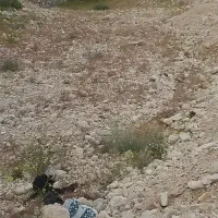 فروش زمین مسکونی در روستا لاور ده