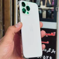 سیزده پرومکس درجه یک پلمپ بسیار تمیر(بدونه نقطه)