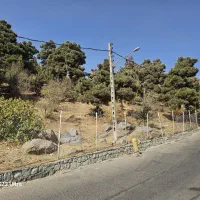 مشارکت با جواز