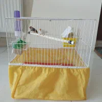 فنچ نر وماده با همه وسایل